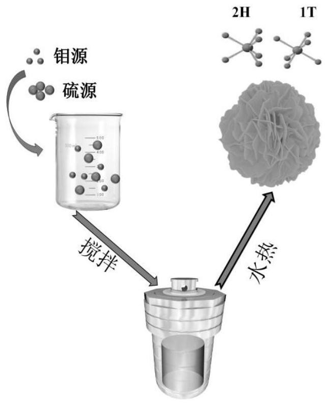 A 1t/2h mixed-phase molybdenum disulfide material and its preparation method and application