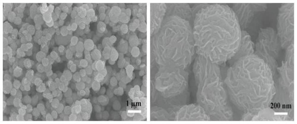 A 1t/2h mixed-phase molybdenum disulfide material and its preparation method and application