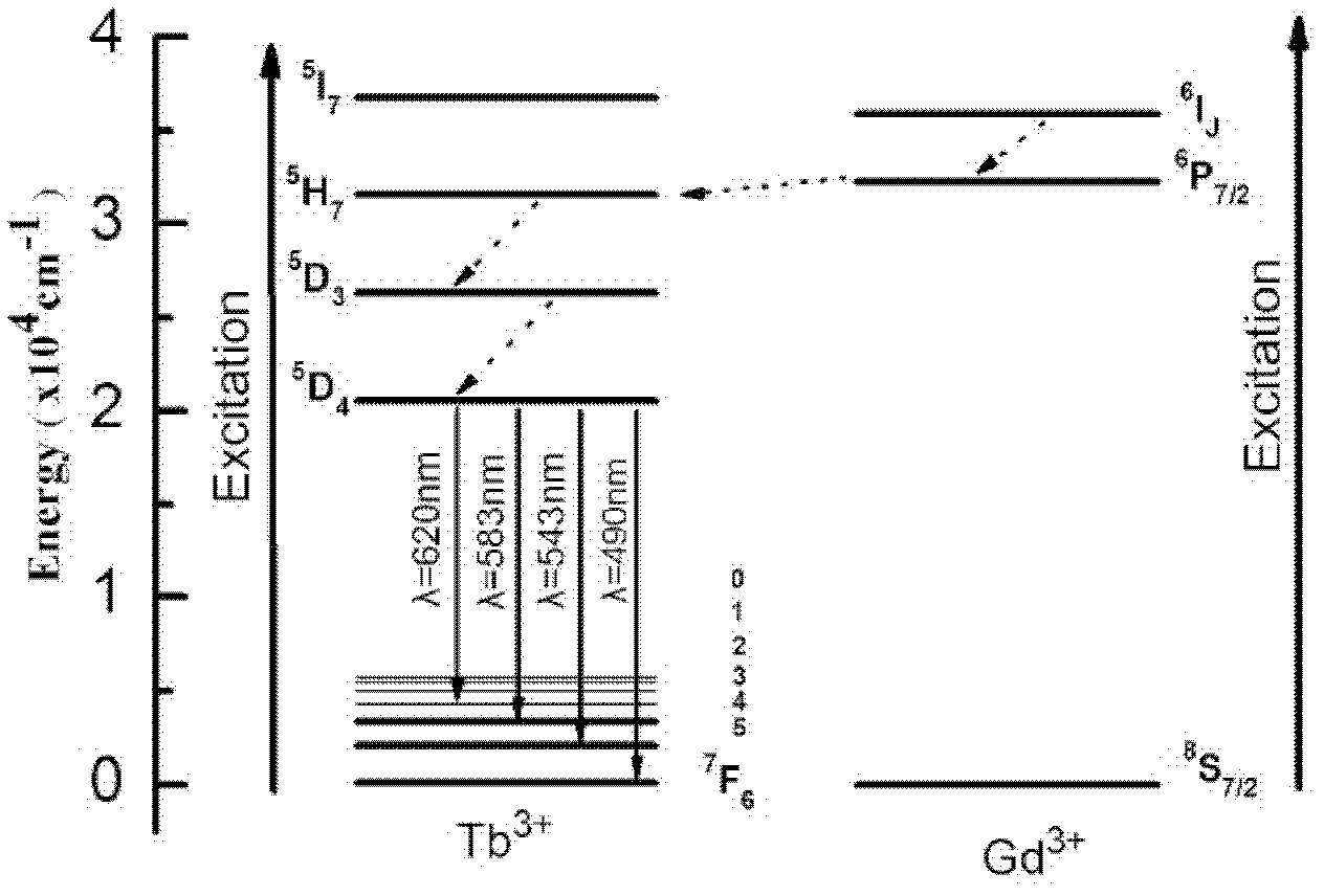 Rare earth doped oxyfluoride tellurite scintillation glass and preparation method thereof