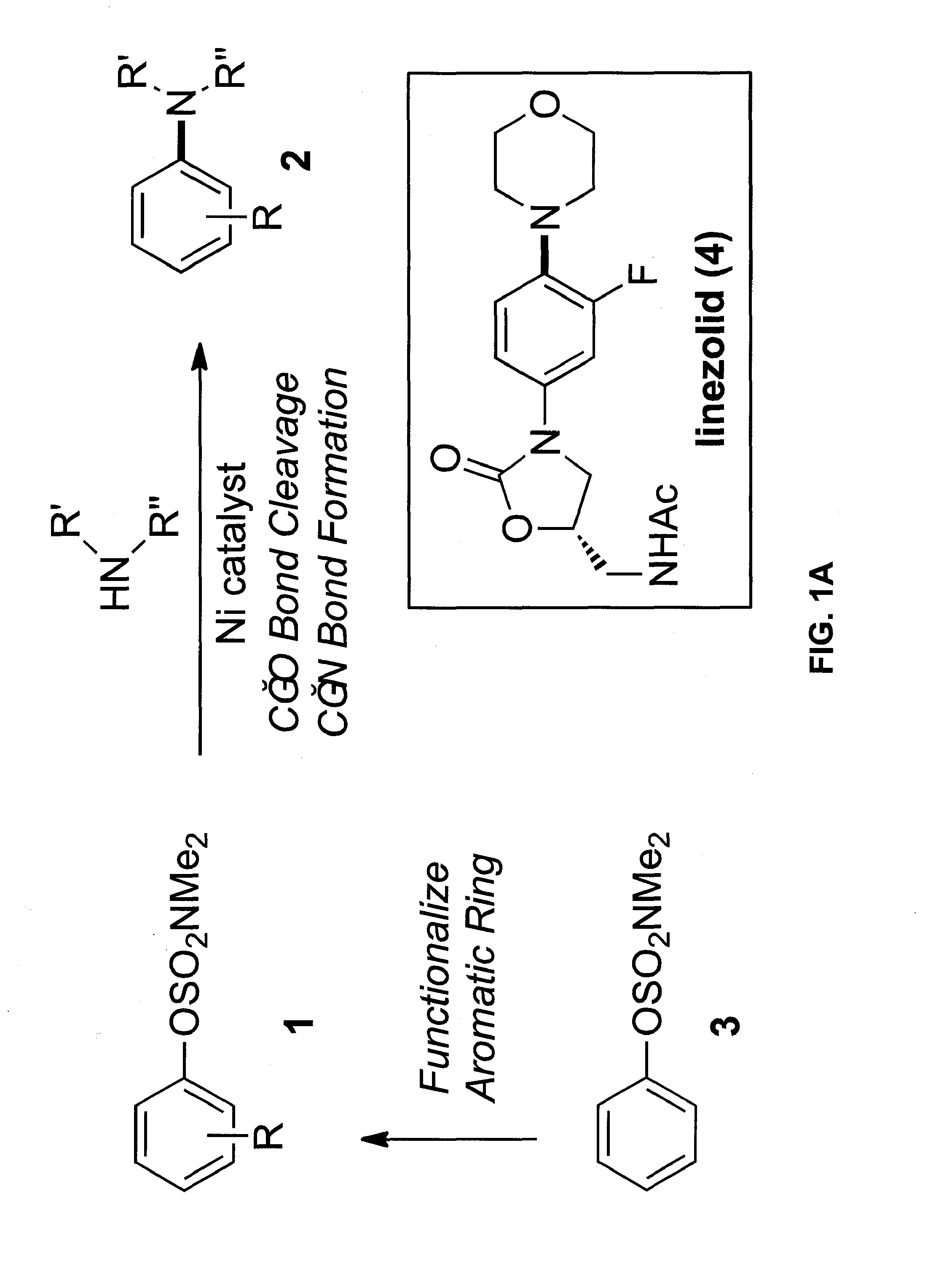 Amination of aryl alcohol derivatives