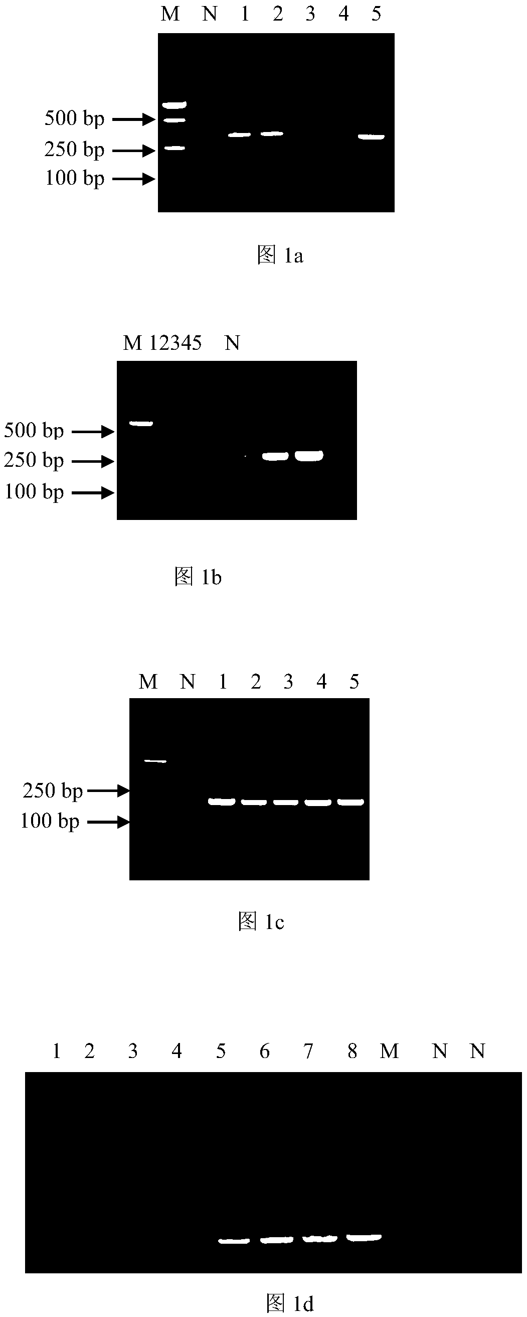 Nano PCR (Polymerase Chain Reaction) kit for simultaneously detecting enterohemorrhagic escherichia coli O45 and O145 and application thereof