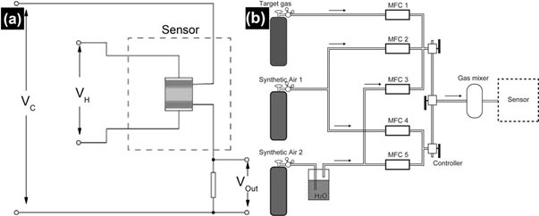 Synthesis of sno with the pollen of Ligustrum lucidum as a template  <sub>2</sub> Application in gas sensitive materials