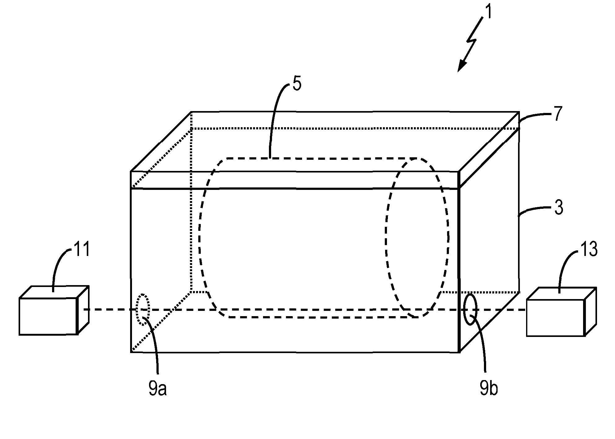 Maturation apparatus and methods