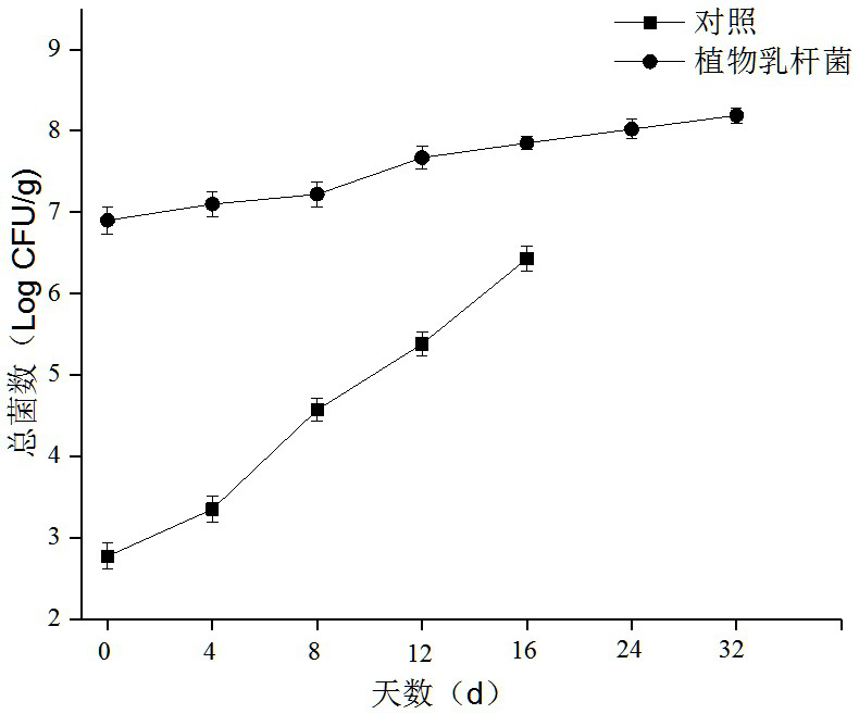 A kind of Lactobacillus plantarum preservative for low-salt meat products