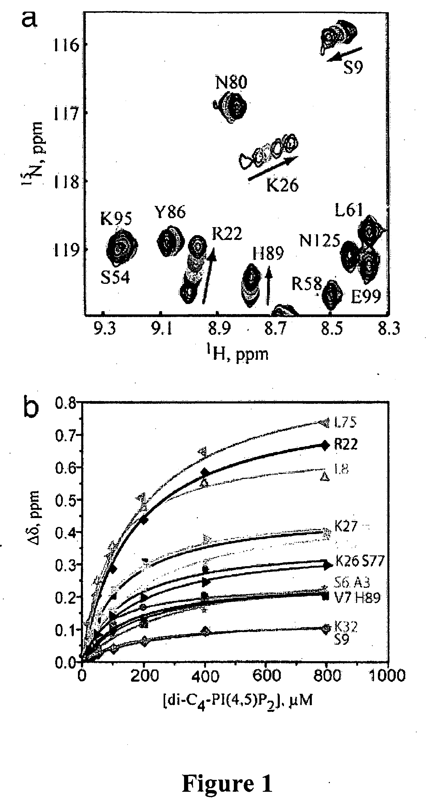 Structural basis for targeting hiv-1 gag proteins to the plasma membrane for virus assembly