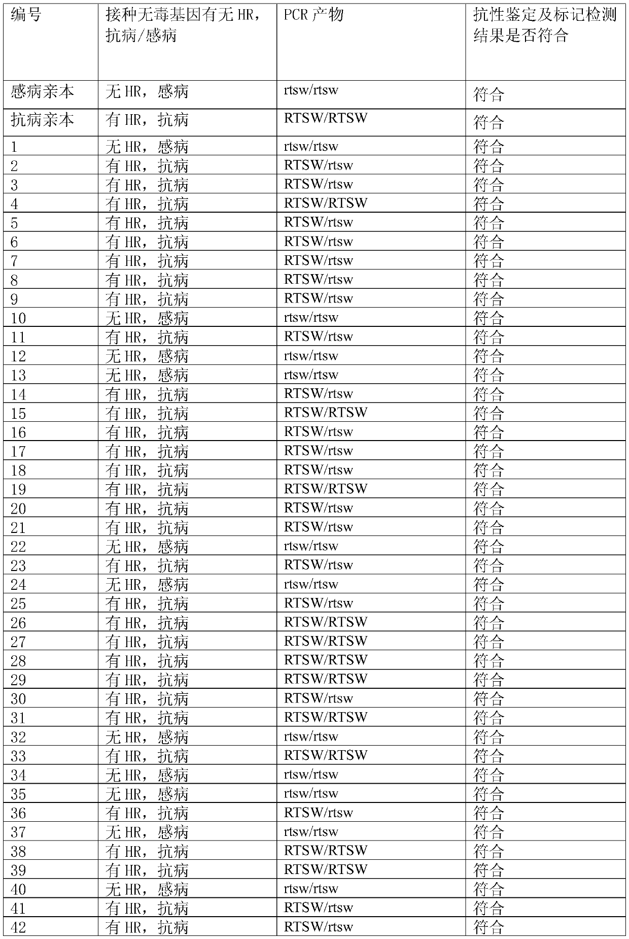 Co-dominant marker primer capable of distinguishing homozygous genotype and heterozygous genotype of tobacco locus RTSW with resistance to spotted wilt, distinguishing method and application of co-dominant marker primer capable of distinguishing homozygous genotype and heterozygous genotype of tobacco locus RTSW with resistance to spotted wilt