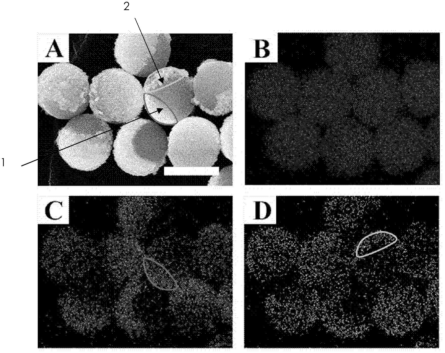 Preparation method for multielement dissymmetrical microsphere and heterogeneous microsphere shell