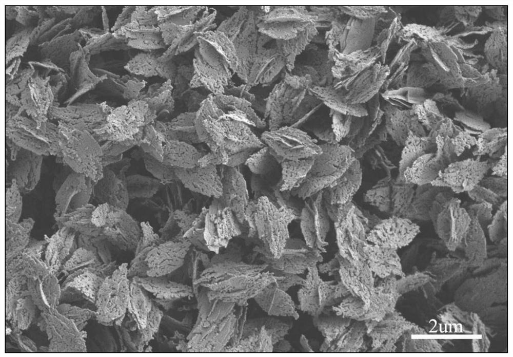 A preparation method of leaf-shaped porous copper nanosheets