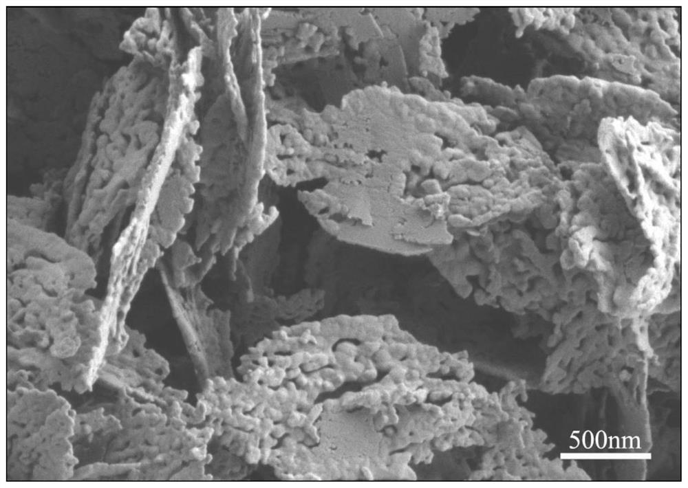 A preparation method of leaf-shaped porous copper nanosheets