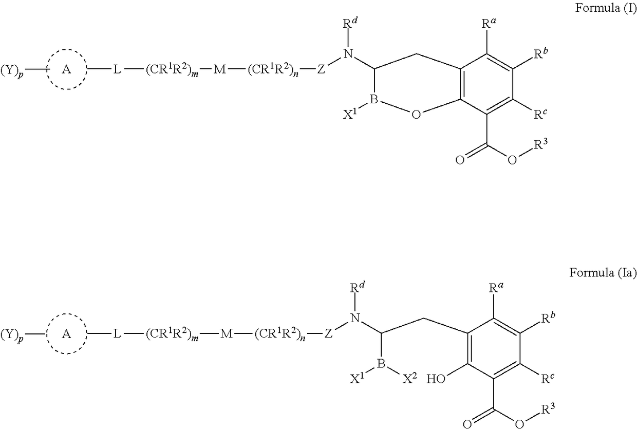 Orally bioavailable beta-lactamase inhibitors