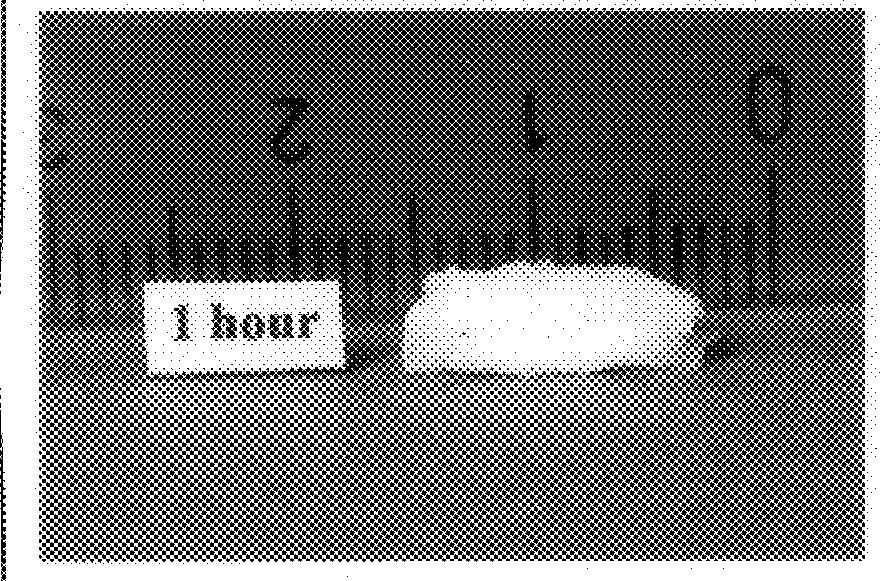Bioadhesive progressive hydration tablets and methods of making and using the same
