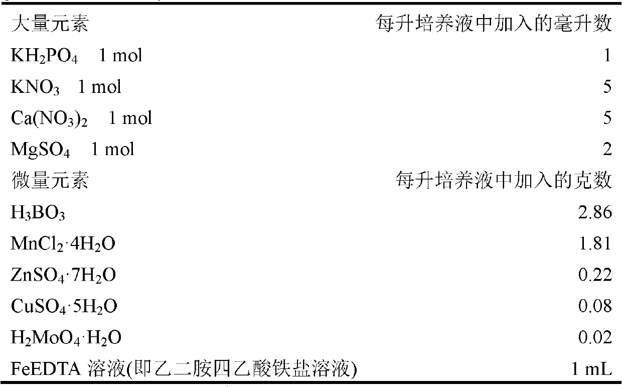 NAC transcription factor gene GmST2 of soybean holy bean No.9 and application of NAC transcription factor gene GmST2