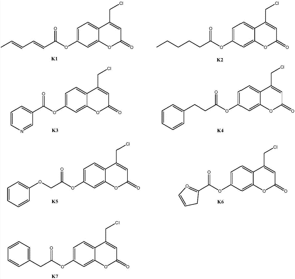 Coumarin esterified derivative with effect of inhibiting transcriptional activity of RXRalpha (Retinoid X Receptor) as well as preparation method and application of coumarin esterified derivative