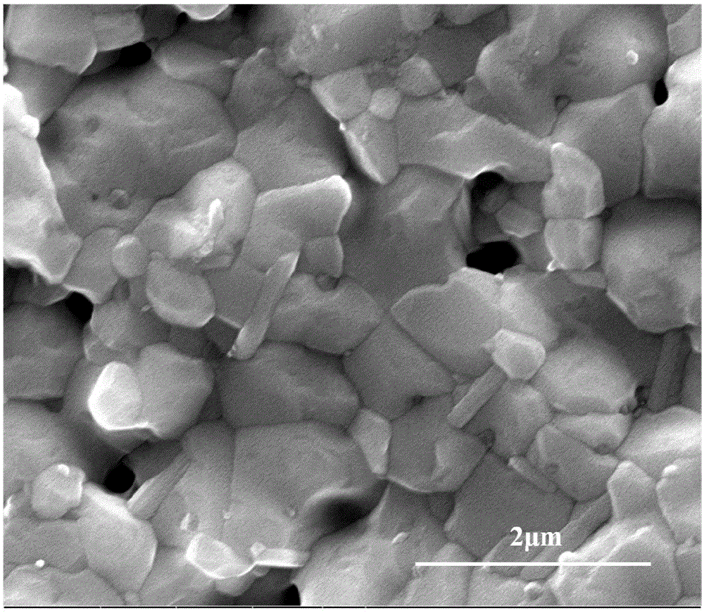 Sintering method of electrolytes for solid oxide fuel cell