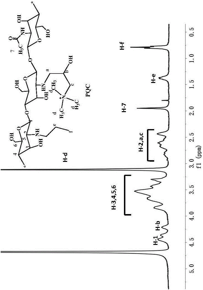 Amphipathic chitosan quaternary ammonium salt derivative and preparation and application thereof