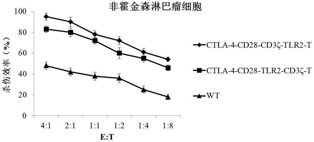 T cell for expressing immunosuppressive checkpoint receptor molecule and application of T cell