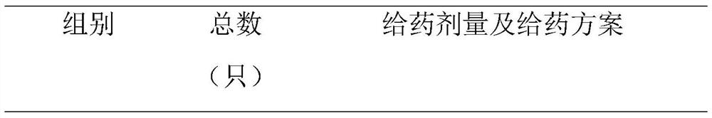 Chinese veterinary drug preparation for treating chicken colibacillosis and preparation method thereof