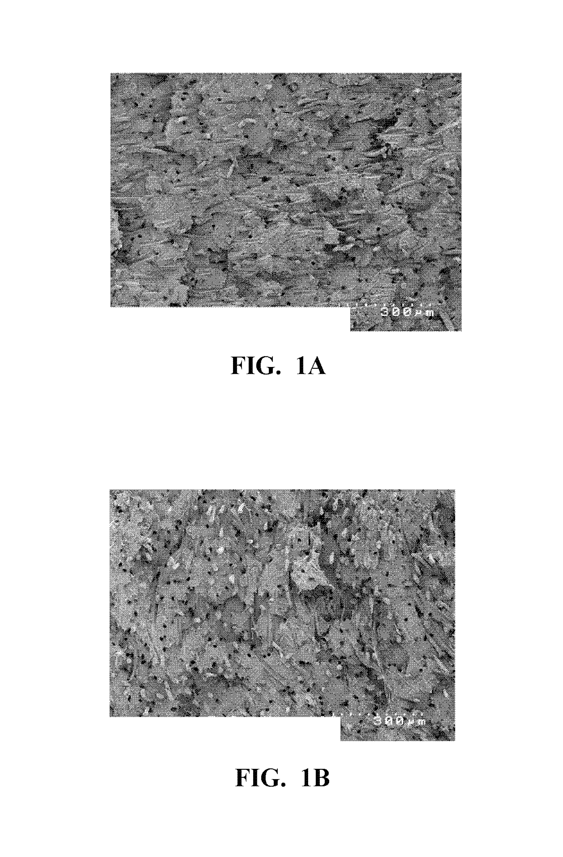 Fluororesin and polyamide fiber composition, and sliding member made therefrom