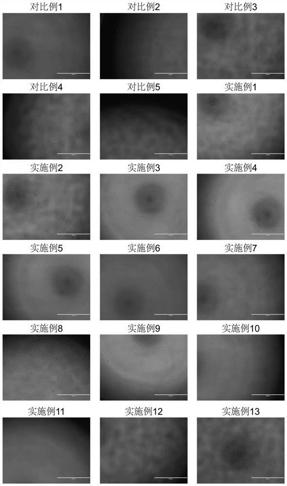 Stem cell serum-free culture medium as well as preparation method and application thereof