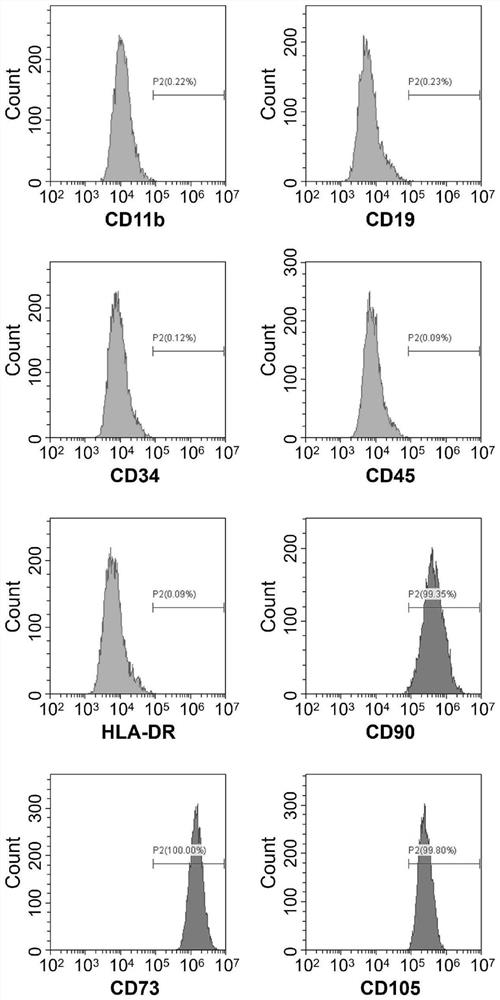 Stem cell serum-free culture medium as well as preparation method and application thereof