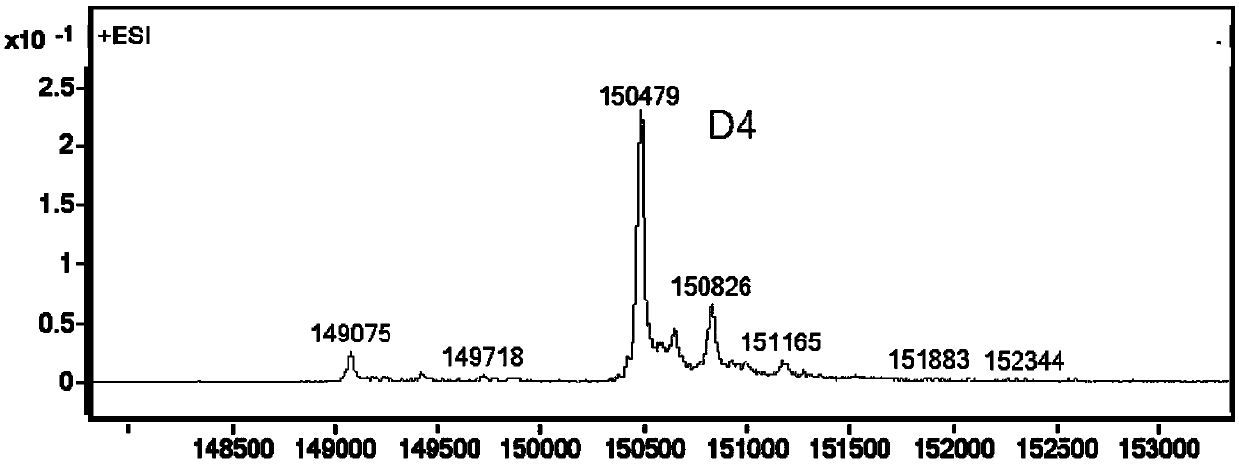 TF-targeted antibody-drug conjugate and preparation method and application thereof