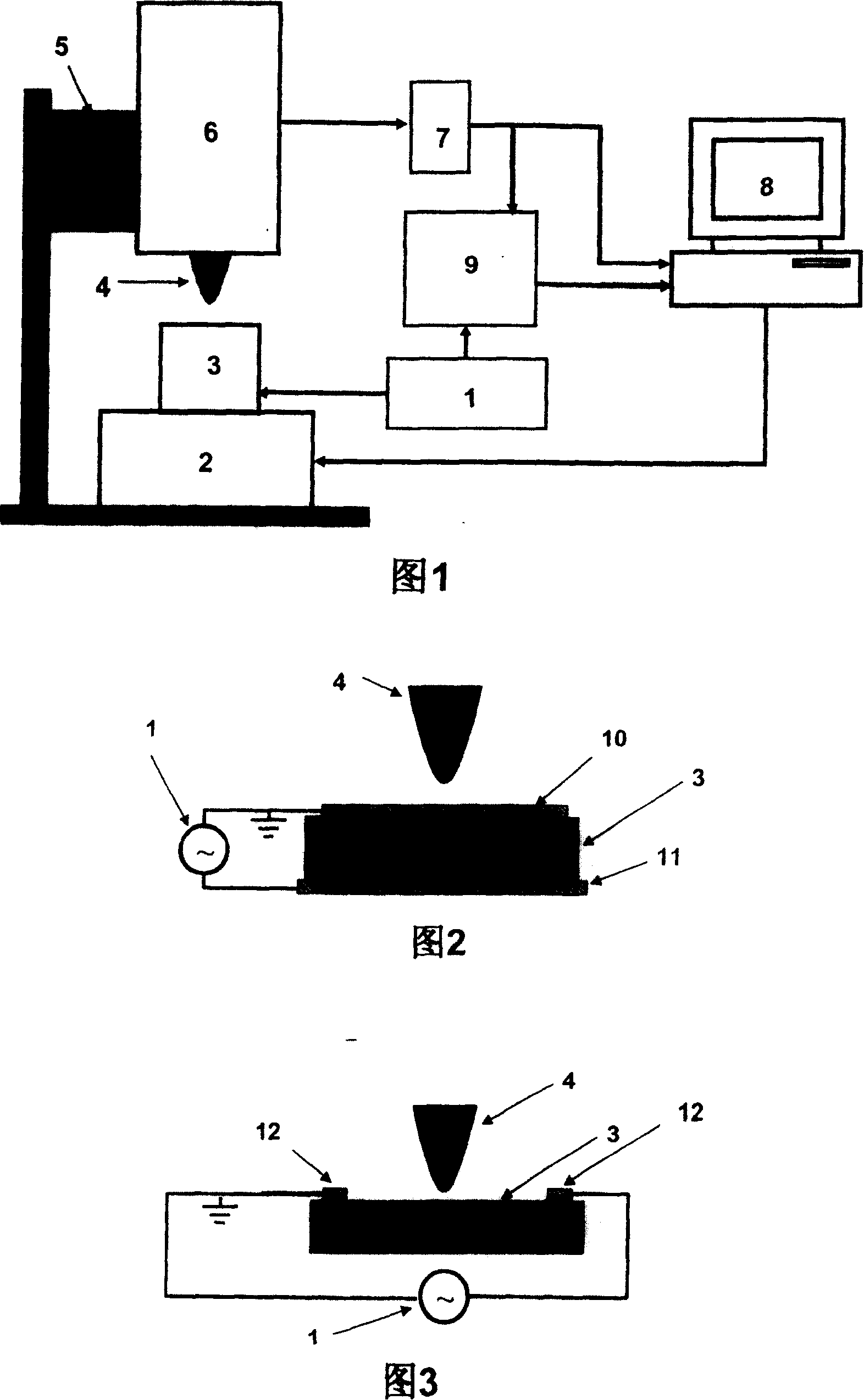 Method and apparatus for measuring material piezoelectric coefficient by using scanning near-field microwave microscopy