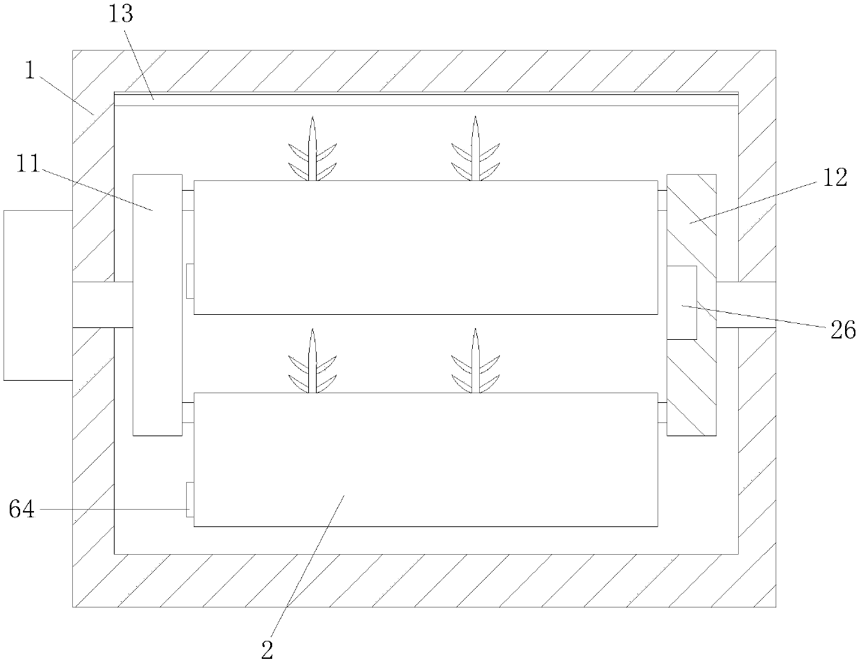 Soilless culture process for young seedling