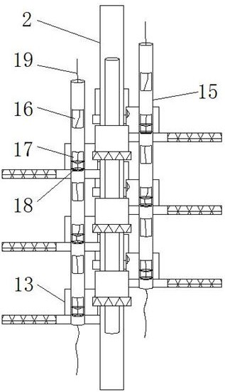 An intelligent raising device for bamboo rats in animal husbandry