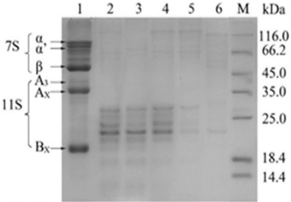 A kind of method for directional degradation of secondary precipitation protein of soy sauce