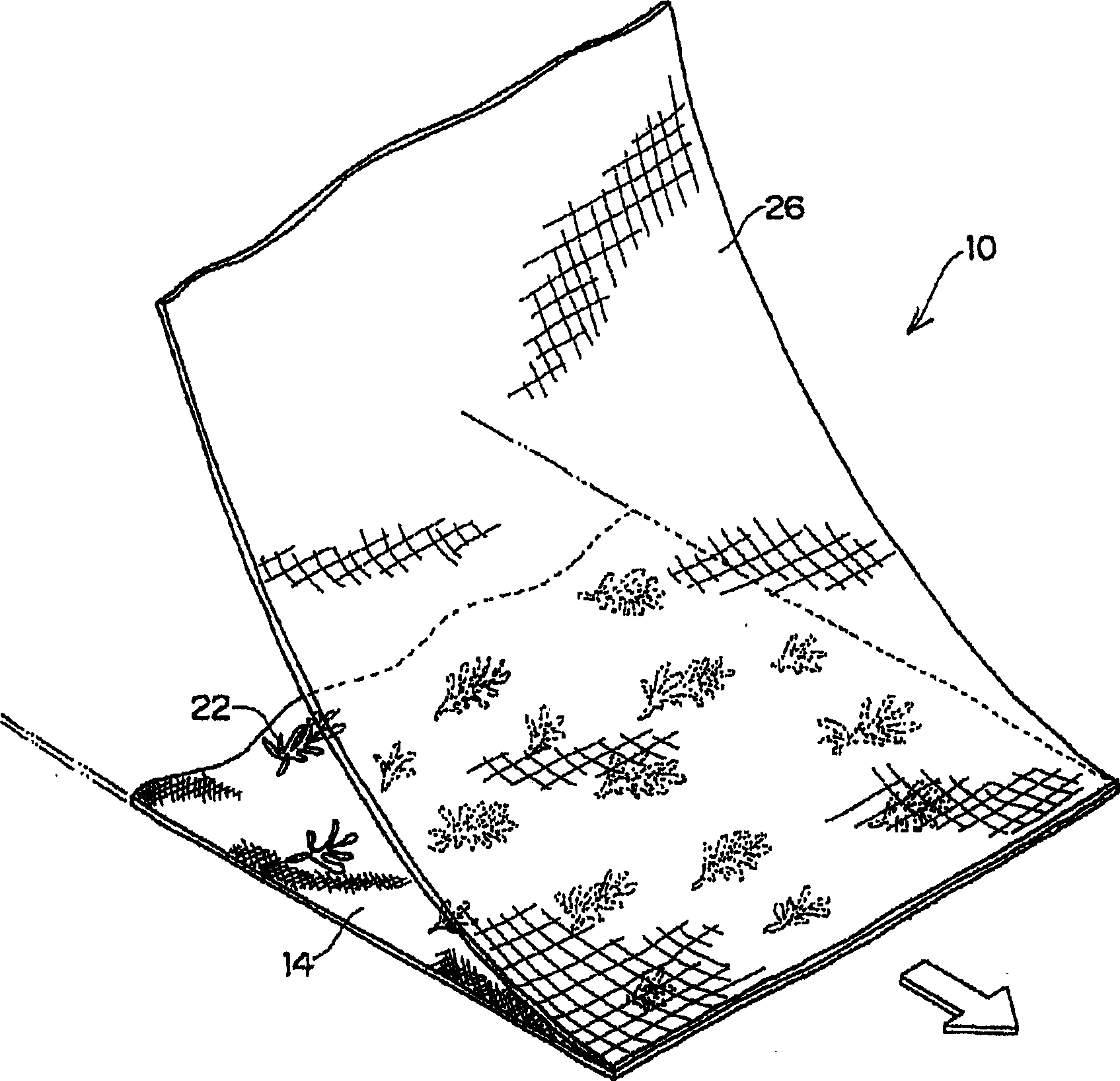 Plant sheet, process for producing the same and greening method using the plant sheet
