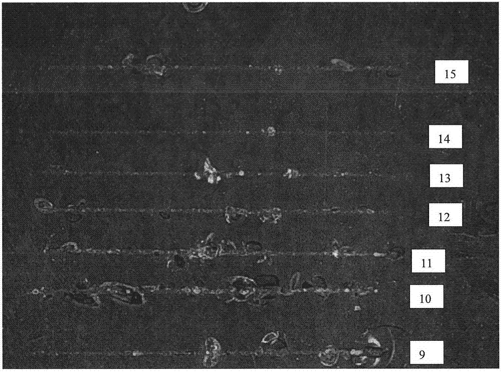 Fiber laser engraving equipment and technological method for organic glass