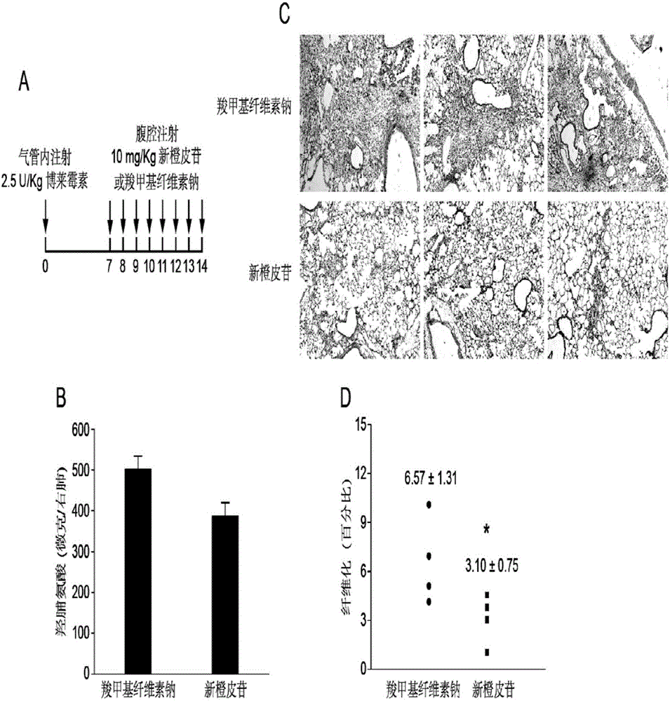 Application of flavone compound in treating lung fibrosis
