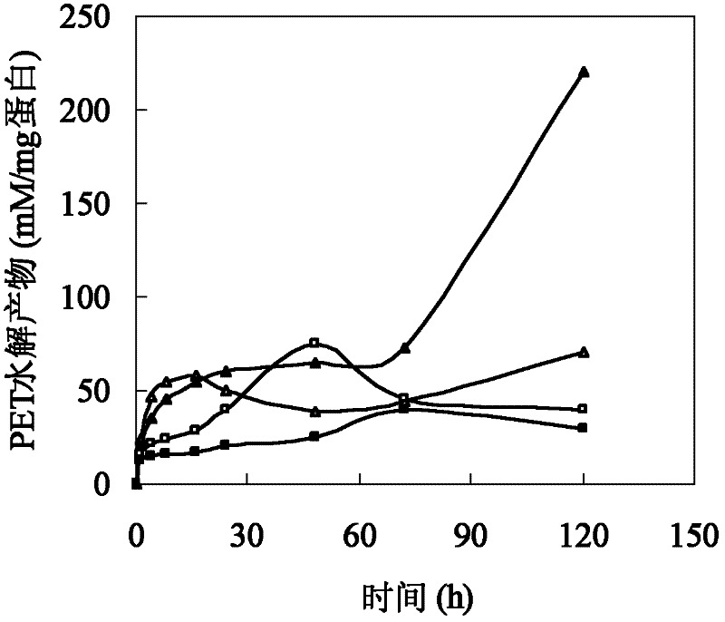 A mutant of cutinase and its preparation method
