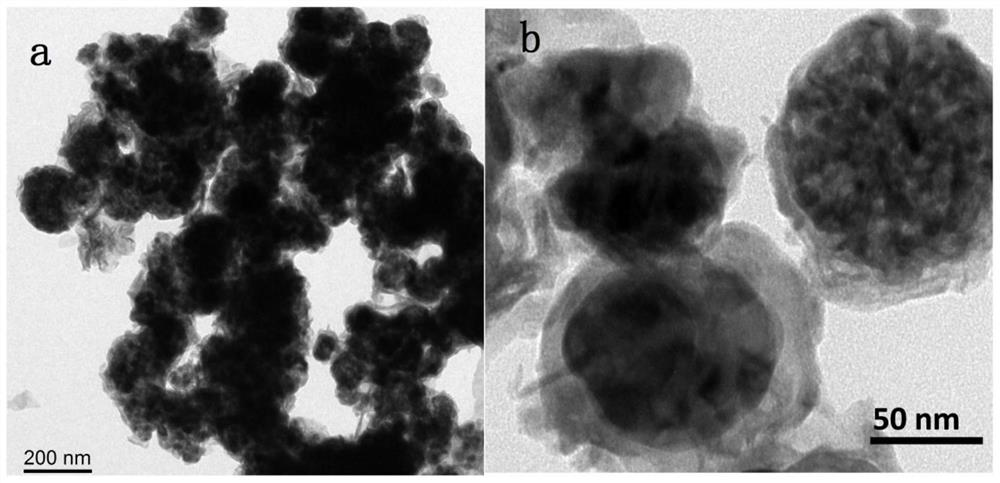 A kind of bimetallic Fe-co nitride electrocatalyst and its preparation method and application