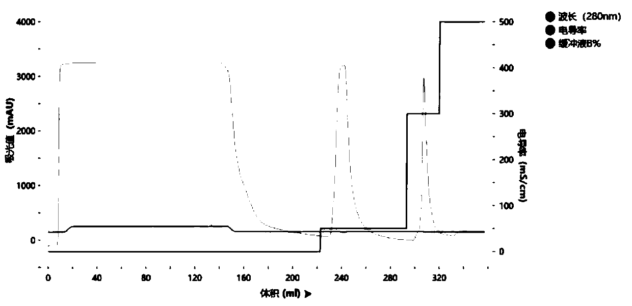 Group B Neisseria meningitidis recombinant pilin Fim, and preparation method and application thereof