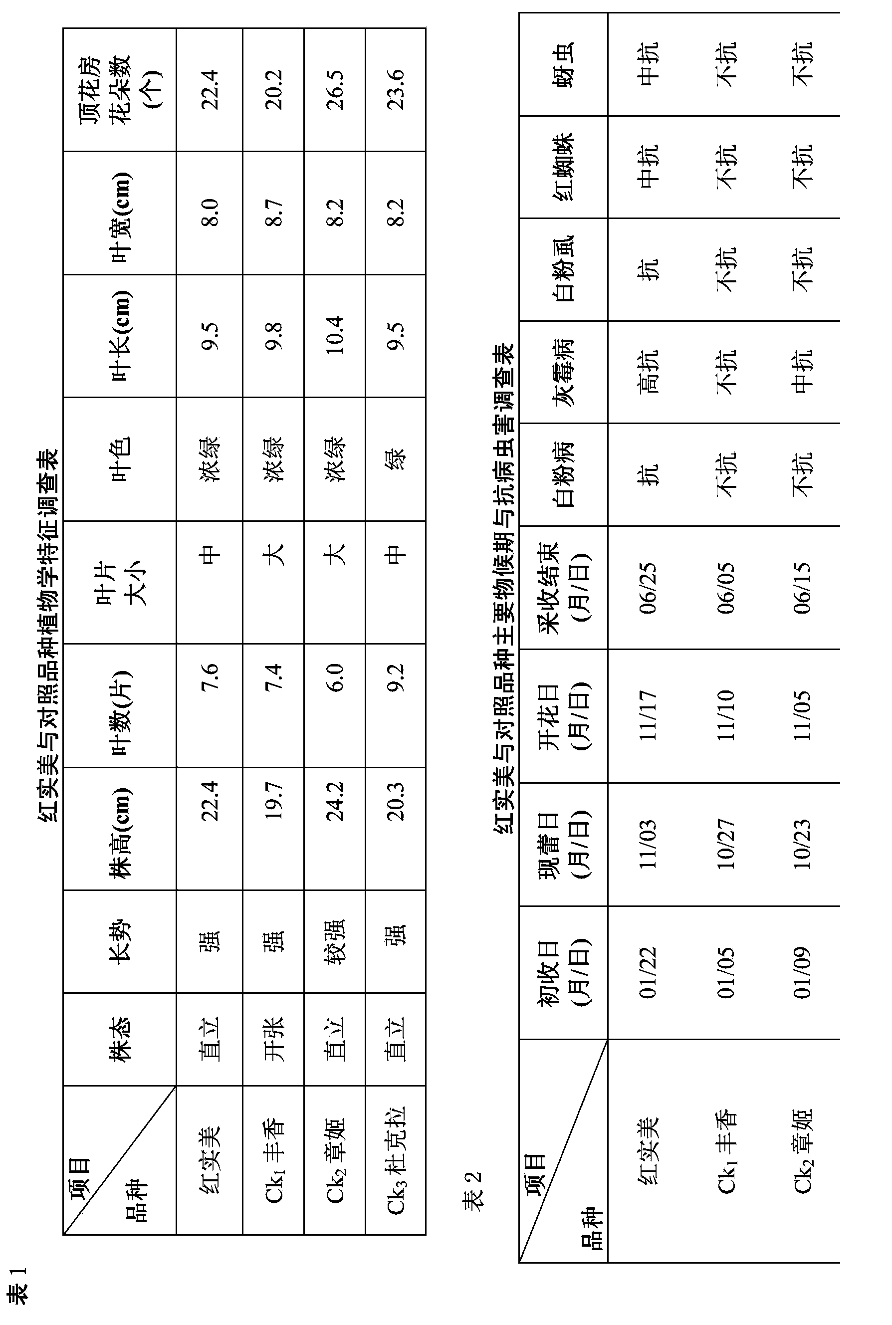 A cultivation method of new strawberry species