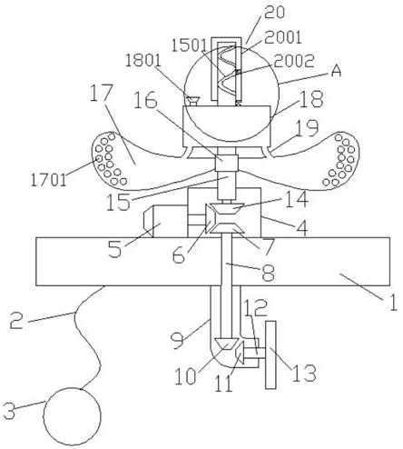 Feeding machine for salangid culture