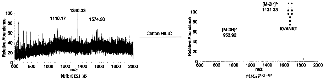 Method for preparing sialoglycopeptide (SGP) by large-scale separation and purification
