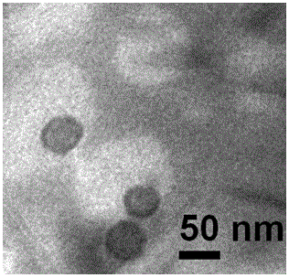 A photosensitive liposome carrying water-soluble drugs
