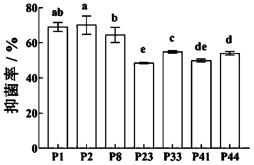 Bacillus capable of inducing system resistance from tomato rhizosphere and screening method and application thereof