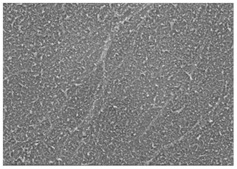 Preparation process of epoxy modified reverse osmosis membrane, reverse osmosis membrane and application of reverse osmosis membrane