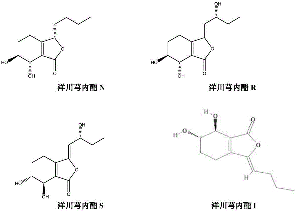 A kind of separation and preparation method of Ligusticum lactone