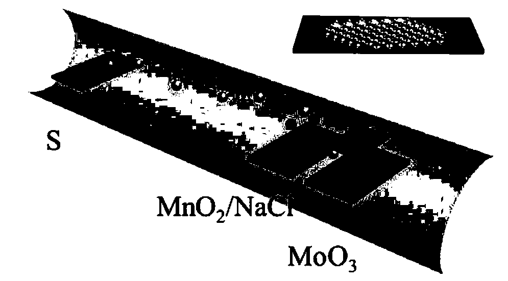 Transition metal-doped molybdenum disulfide thin-layer material as well as preparation method and application thereof