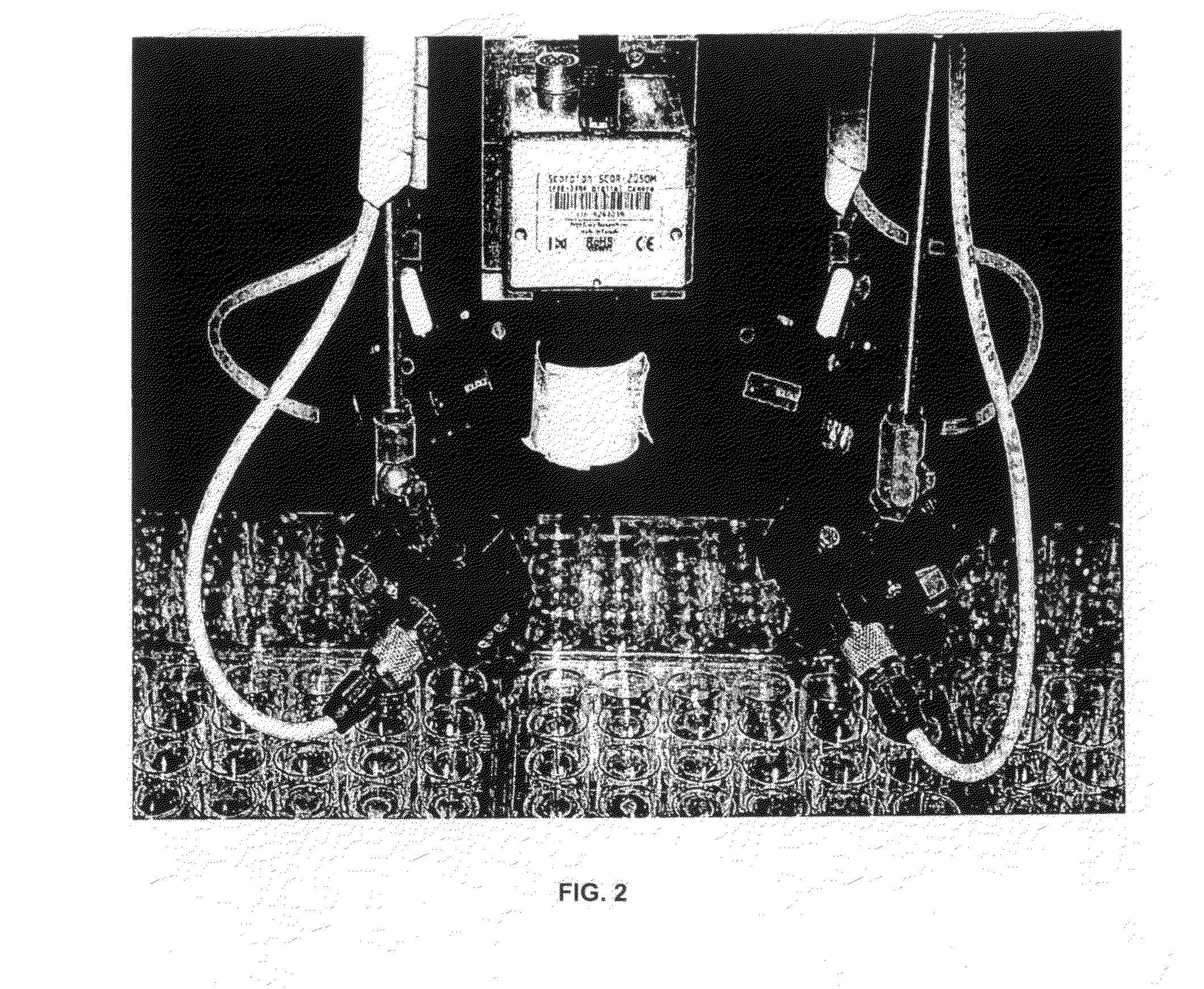 Method for measuring the growth of leaf disks of plants and apparatus suited therefor