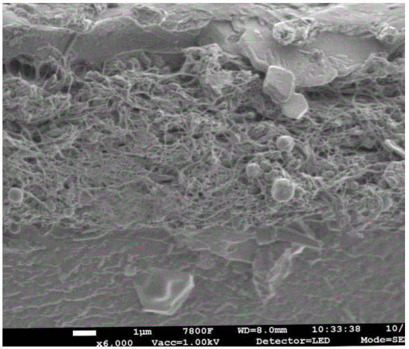 Composite anion-exchange membrane and preparation method thereof