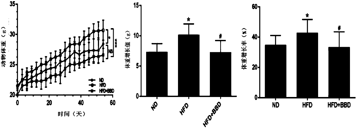 Applications of eight-treasure pill in preparing medicines for preventing obesity