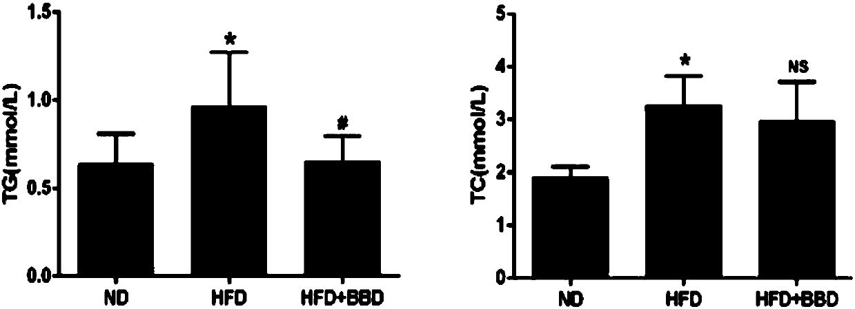 Applications of eight-treasure pill in preparing medicines for preventing obesity