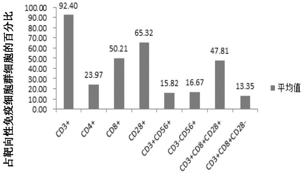 DC cell based on AFP antigen, targeting immune cell population, preparation method and applications thereof