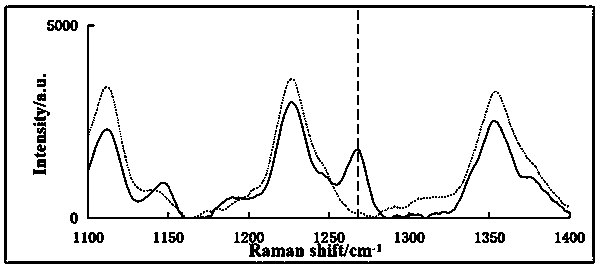 Surface enhanced Raman spectroscopy rapid detection method for ciprofloxacin in eggs and milk