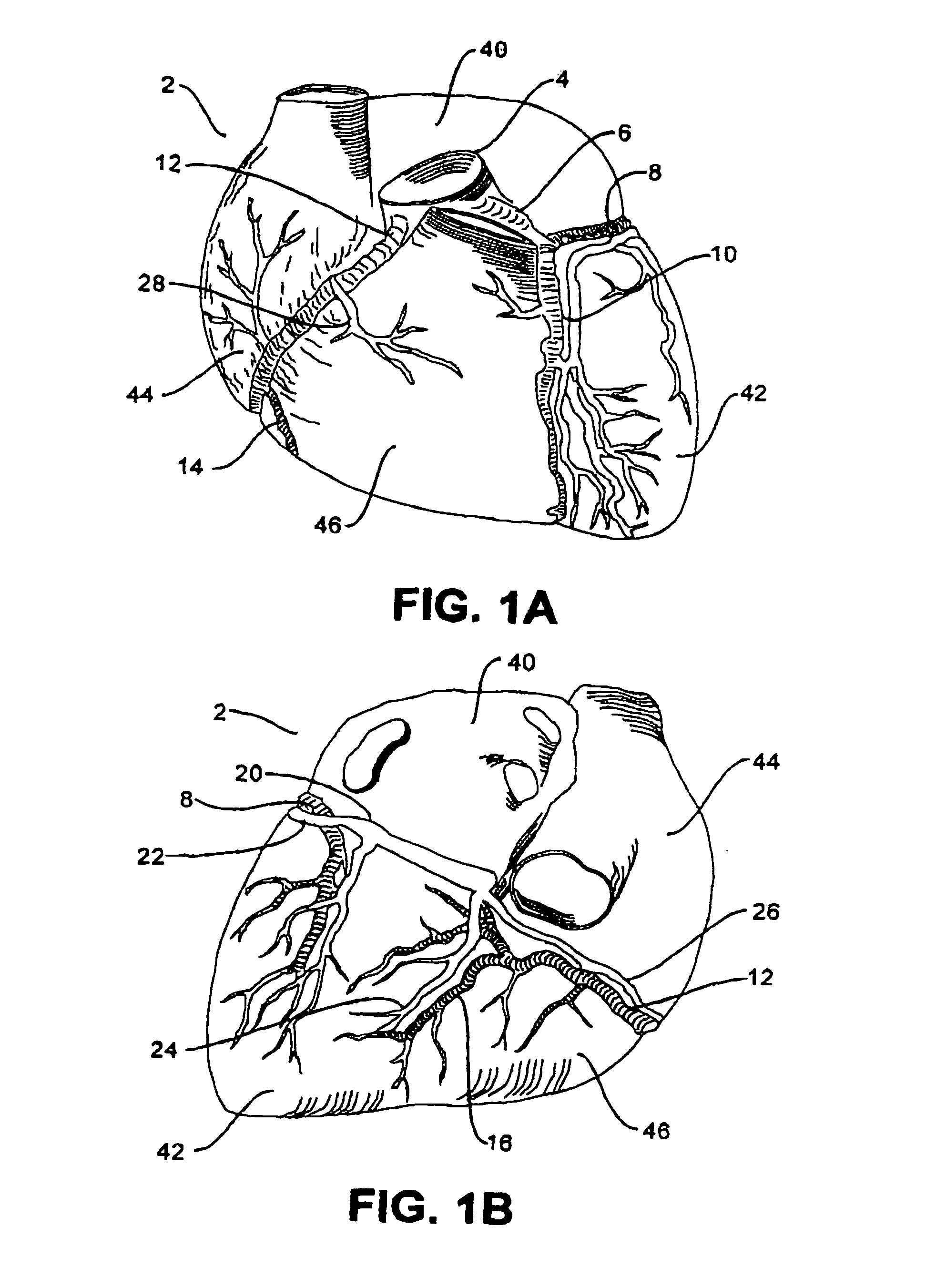 Conduit system for isolation of fluids in biological tissues